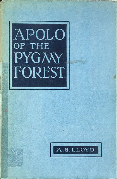 Albert Bushnell Lloyd [1871–1946], Apolo of the Pygmy Forest